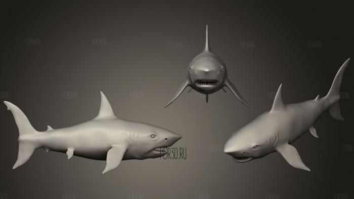 great white shark 3d stl for CNC